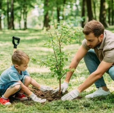 Lessons of Resilience