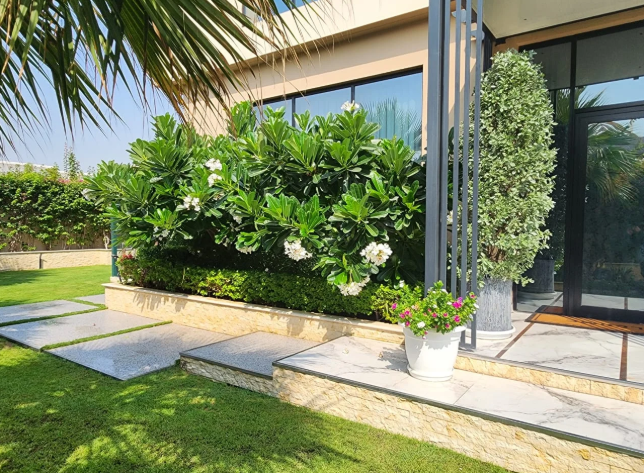 Lessons of Resilience