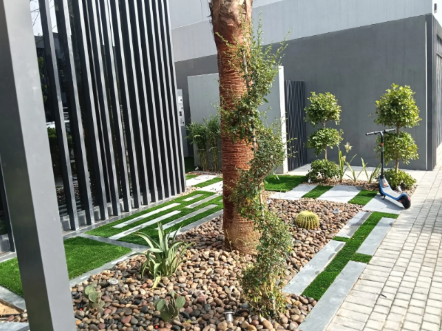 Lessons of Resilience